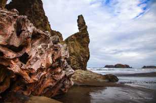 Bandon Beach driftwood-6892 Bandon Beach driftwood-6892
